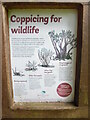 TQ0194 : Information Poster at Philipshill Wood (3) by David Hillas