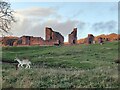 SK5310 : The ruins of Bradgate House by Mat Fascione