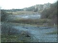 SJ2552 : Chwarel galchfaen segur / Disused limestone quarry, Minera by Christine Johnstone