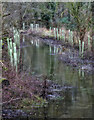 SK1965 : Flooded bank of the Lathkill by Andy Stephenson