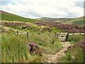 NY3030 : Path and gate near Wiley Gill by Adrian Taylor