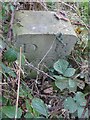 SO6306 : Modern Boundary Stone, Yorkley by Mr Red