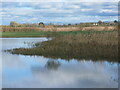 SE7043 : Wetlands, Wheldrake Ings by Christine Johnstone