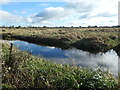 SE7043 : Watercourse, Wheldrake Ings by Christine Johnstone