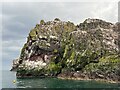 NT9069 : Tip of St Abb's Head by Jonathan Hutchins