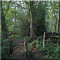 SP1681 : Elmdon Coppice: entrance from Damson Parkway by A J Paxton