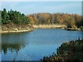 TA1134 : Noddle Hill Nature Reserve, Kingston upon Hull by Bernard Sharp