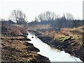 TA1135 : Noddle Hill Nature Reserve, Kingston upon Hull by Bernard Sharp