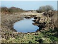 TA1135 : Noddle Hill Nature Reserve, Kingston upon Hull by Bernard Sharp