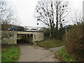 SZ0494 : Shared path at Alderney, Poole by Malc McDonald