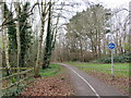 SZ0693 : Shared path near Bournemouth University by Malc McDonald