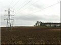 SE4734 : Pylons, Ploughland and Plantation by Alan Murray-Rust