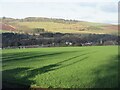 NO2109 : Green field above Strathmiglo by Scott Cormie