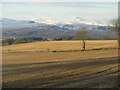 NN8615 : Stubble fields near Overhill by Scott Cormie