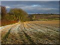 NN8514 : Frosty field near The Lurg by Scott Cormie