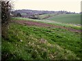 SX9088 : Matford Brook valley by Derek Harper