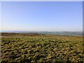 NY7237 : Summit cairn on Long Man Hill by shikari