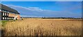 TM3957 : Snape Maltings, winter morning by Christopher Hilton