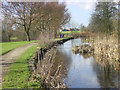 SD9201 : Looking west along the Fairbottom Branch Canal in Daisy Nook Country Park by Martin Clark