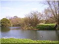 TL4356 : The River Cam southwest of Cambridge by Tom Pullman