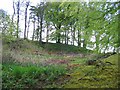  : Old quarry, Long Knowe by Richard Webb