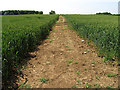 SP0801 : Farmland near Ampney St Peter by Pam Brophy