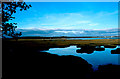 SY9888 : Arne Bay from the Shipstal Point hide by Bob Ford