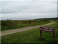 TQ8085 : Footpath Through Hadleigh Marsh by Glyn Baker