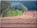 SO6023 : Wye Valley Walk, Ross-on-Wye by Ann Thomas