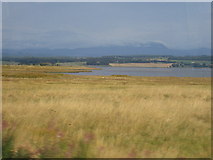  : Head of the Beauly Firth, looking north from the train by Pip Rolls