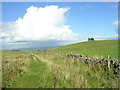 SK1960 : Gratton Moor - Peak District National Park by David Grimshaw