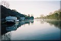 SU8686 : River Thames - beneath Winter Hill by Andrew Smith