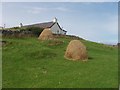 HU3733 : Haycocks on West Burra, Shetland by Rog Frost