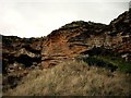 NJ1570 : Cliff at Clashach Cove by Hopeman by Christopher Gillan