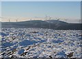 NT3148 : Bowbeat Hill from Blackhope Scar. by Richard Webb