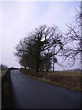  : Country Road by Michael Graham