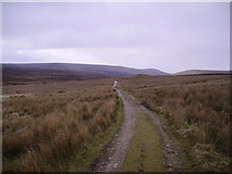  : Hornby Road by Michael Graham