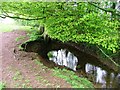 SE4199 : Harsley Beck by Mick Garratt