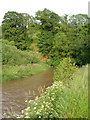 SY0886 : River Otter below Burnthouse Farm by Derek Harper