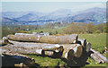 SD3799 : log pile near High Wray by Stephen Craven