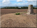 SO4021 : Trig point on Edmund's Tump by Philip Halling