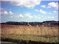 TM3876 : Halesworth view across fields by Geographer