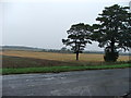 SE3941 : Farmland near Bramham. by Steve Partridge