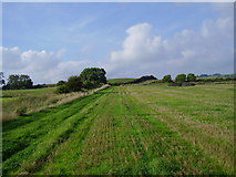  : Field adjoining minor road that links Causey with Tanfield by P Glenwright