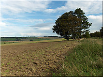  : Farmland above Aldbourne by Andrew Smith