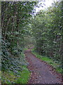  : West Loch Lomond Cycle Path by Iain Thompson