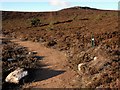 NJ6622 : Heather Moorland and Gordon Way Footpath by Gilbert Scott