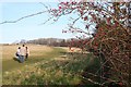 SO9439 : Bridleway towards the Warren by Bob Embleton