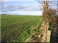 NT9941 : Arable farmland by Walter Baxter