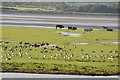 SO7105 : The Severn across the Dumbles by Thor Beverley